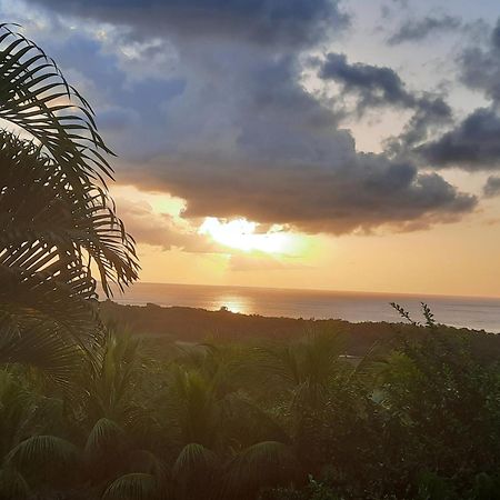 Oasis De Grande Anse Villa Deshaies Ngoại thất bức ảnh