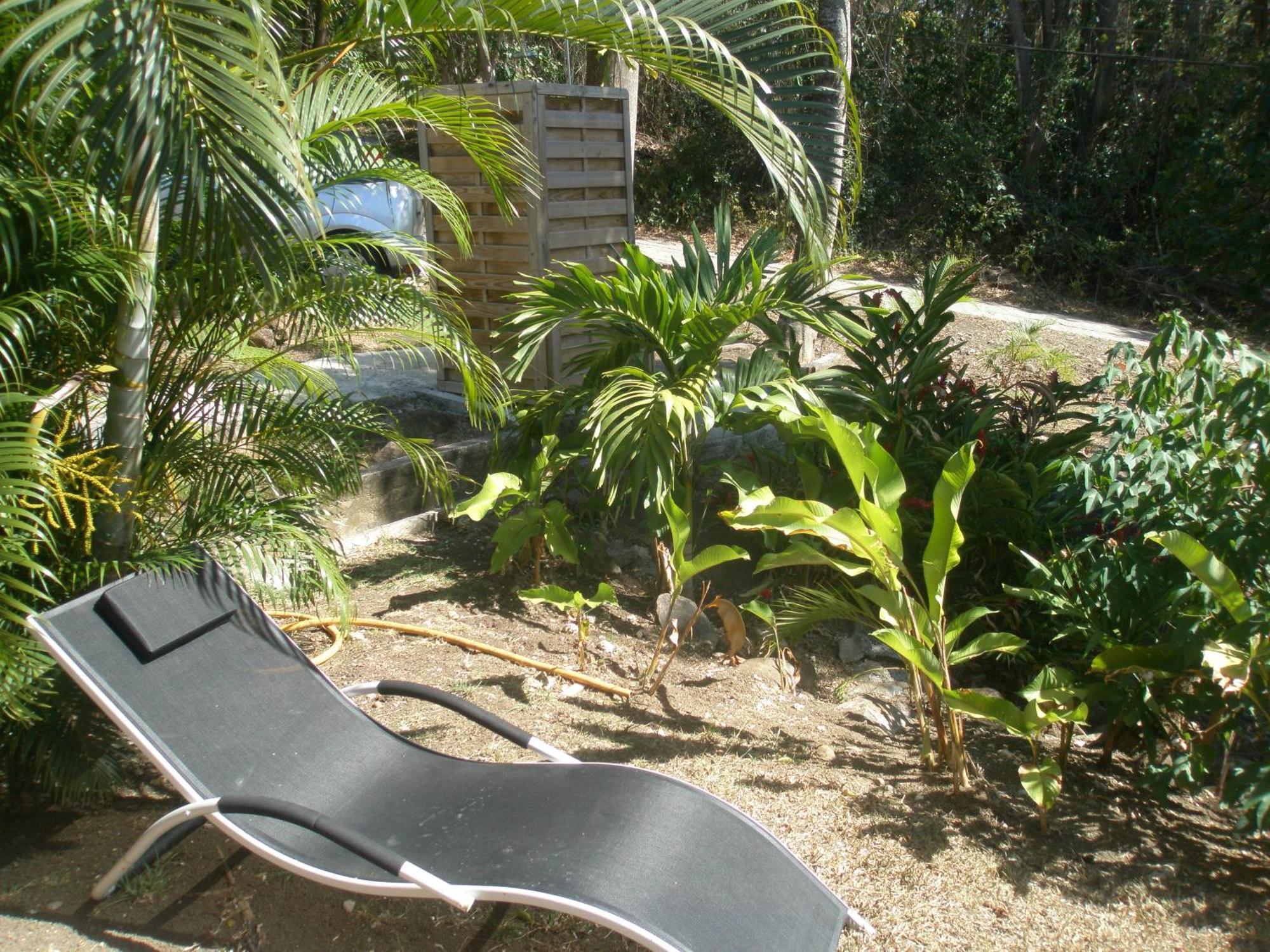 Oasis De Grande Anse Villa Deshaies Phòng bức ảnh