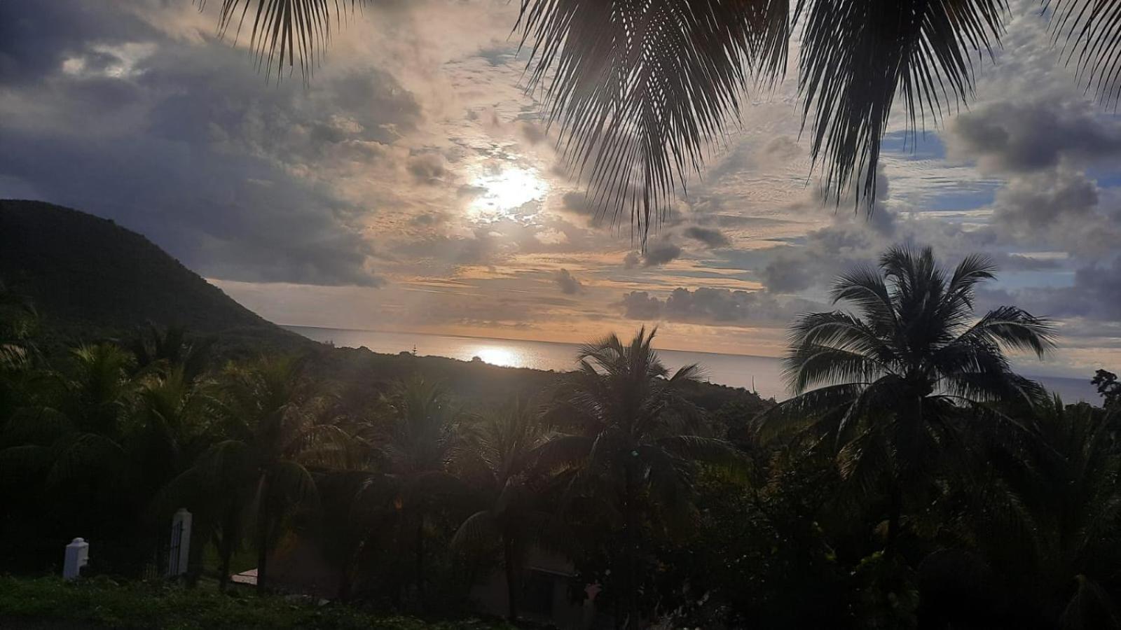 Oasis De Grande Anse Villa Deshaies Ngoại thất bức ảnh