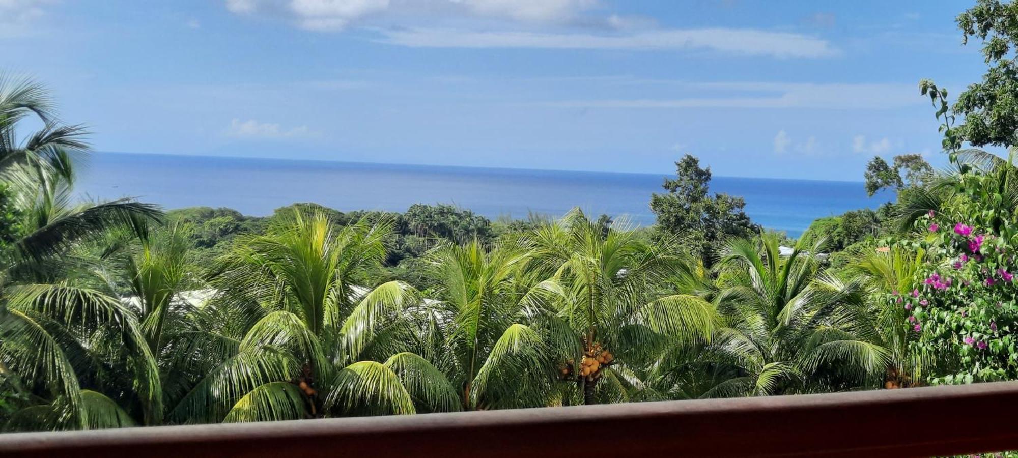Oasis De Grande Anse Villa Deshaies Ngoại thất bức ảnh