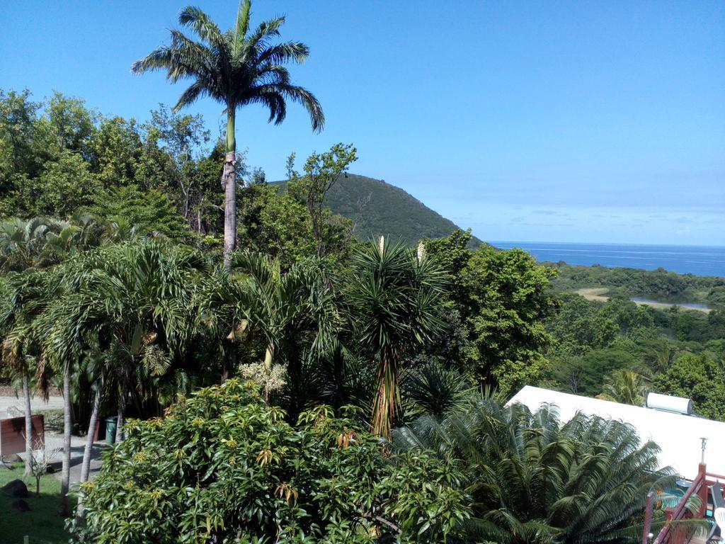 Oasis De Grande Anse Villa Deshaies Ngoại thất bức ảnh