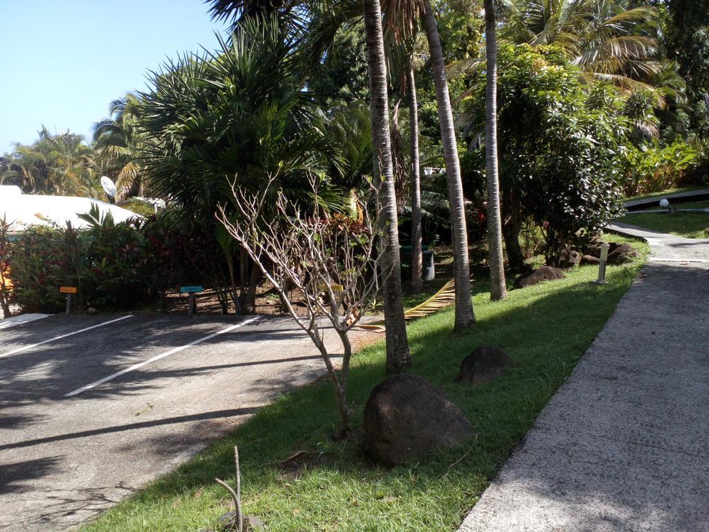 Oasis De Grande Anse Villa Deshaies Ngoại thất bức ảnh