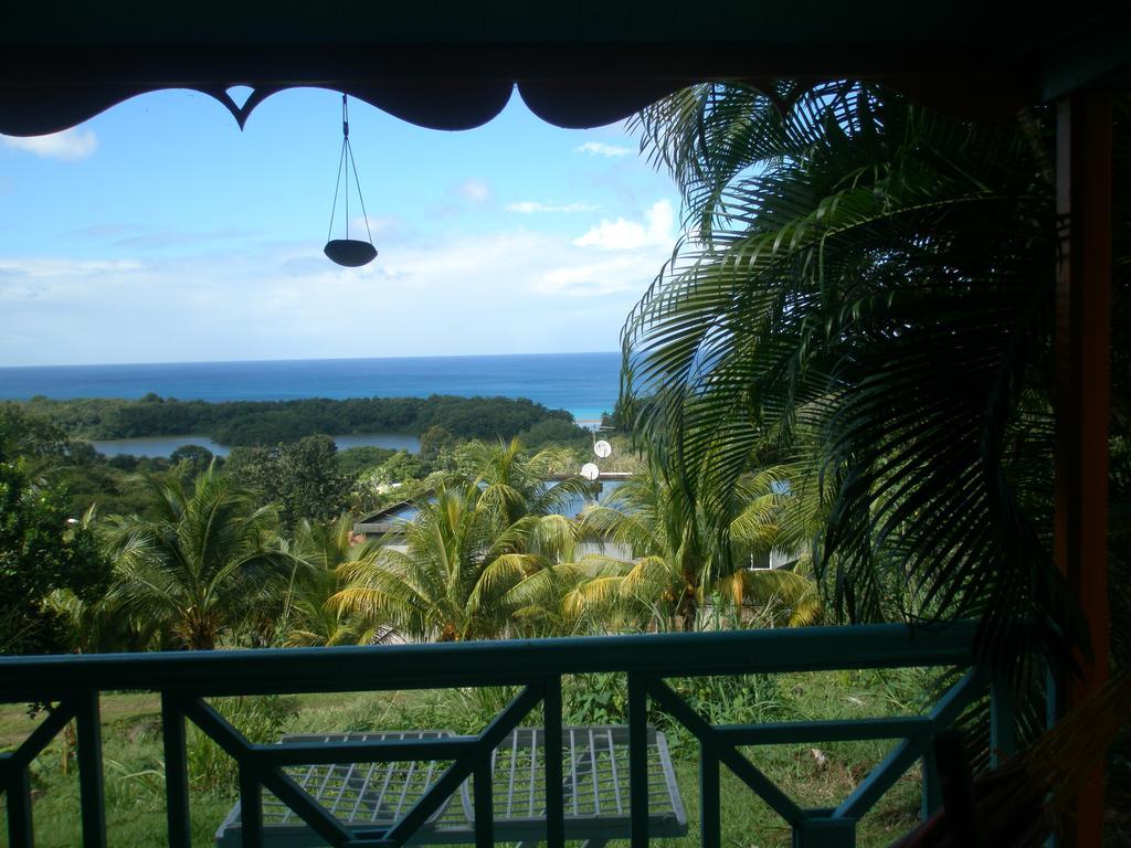 Oasis De Grande Anse Villa Deshaies Ngoại thất bức ảnh