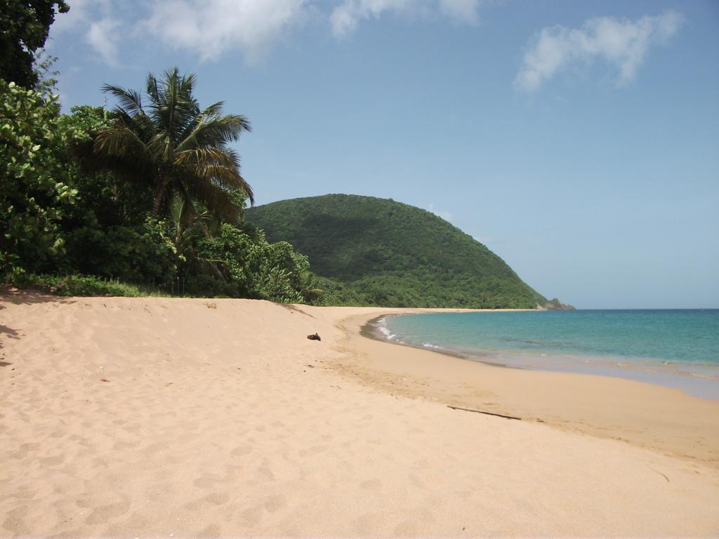 Oasis De Grande Anse Villa Deshaies Phòng bức ảnh