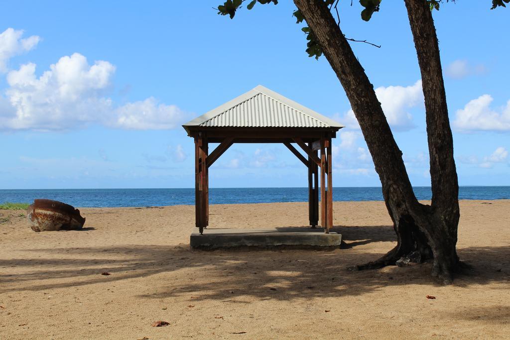 Oasis De Grande Anse Villa Deshaies Ngoại thất bức ảnh