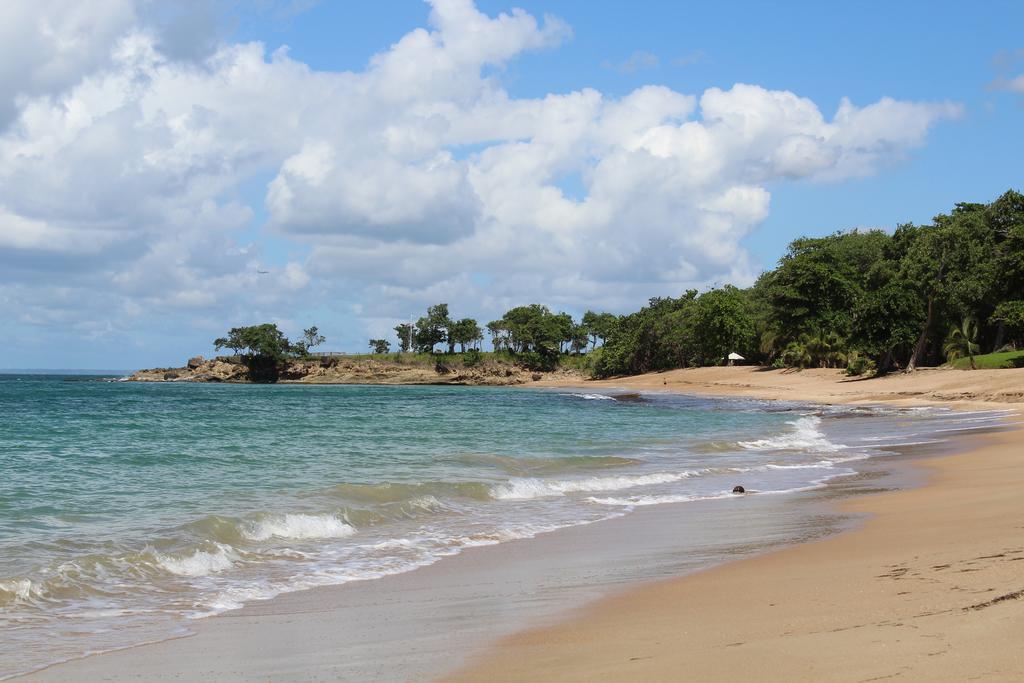 Oasis De Grande Anse Villa Deshaies Ngoại thất bức ảnh