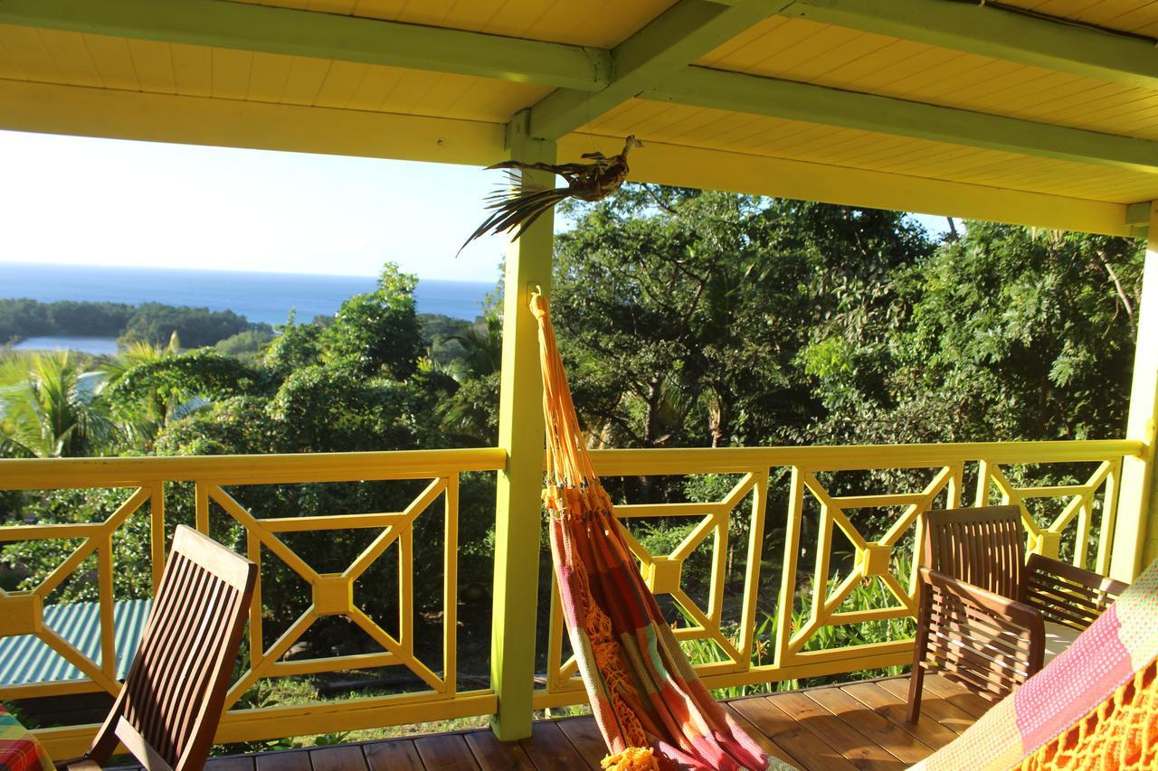 Oasis De Grande Anse Villa Deshaies Ngoại thất bức ảnh